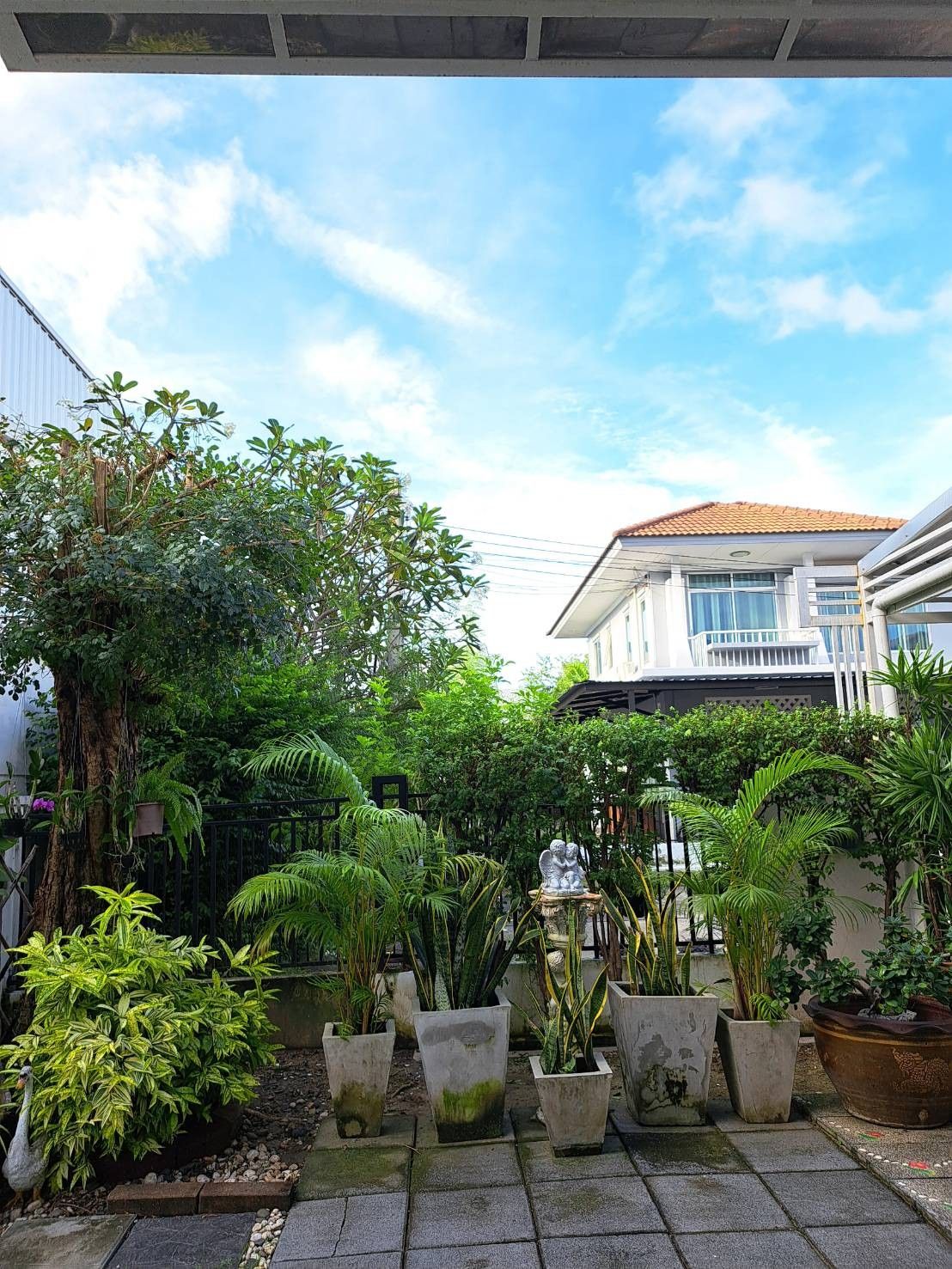 Home Outdoor Gardening Solutions Chennai image 2