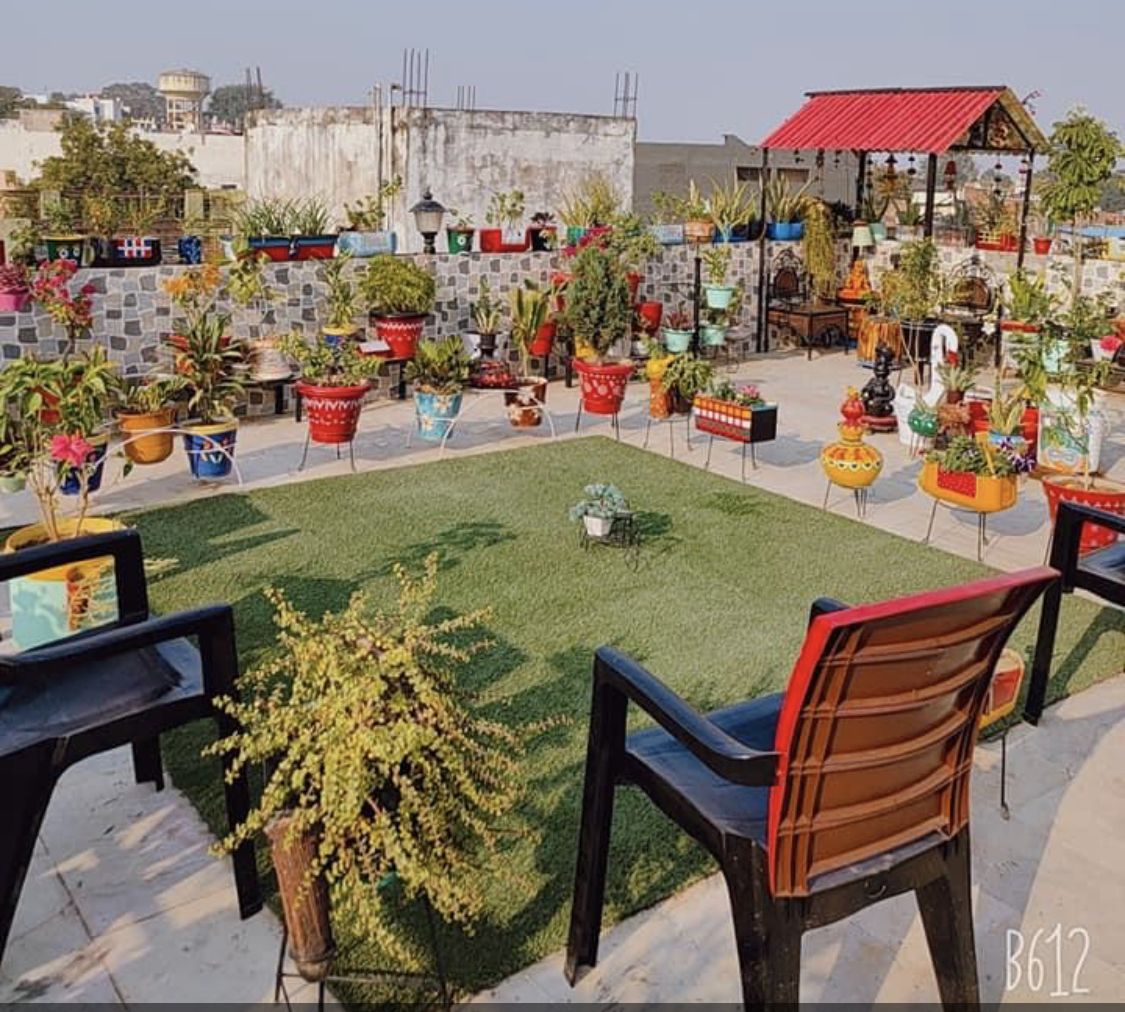 Affordable Terrace Garden Installation Service in Chennai image 3