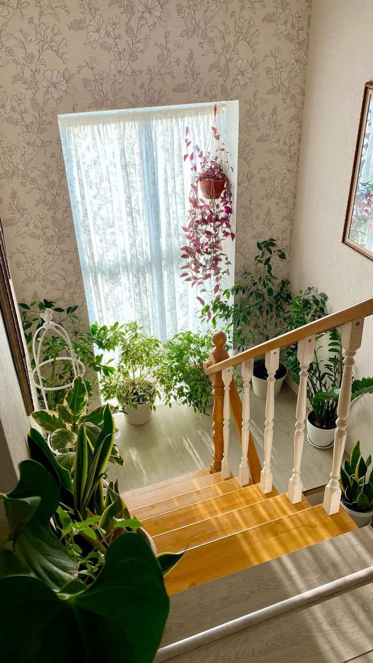 Indoor Plant Styling Experts Chennai image 4