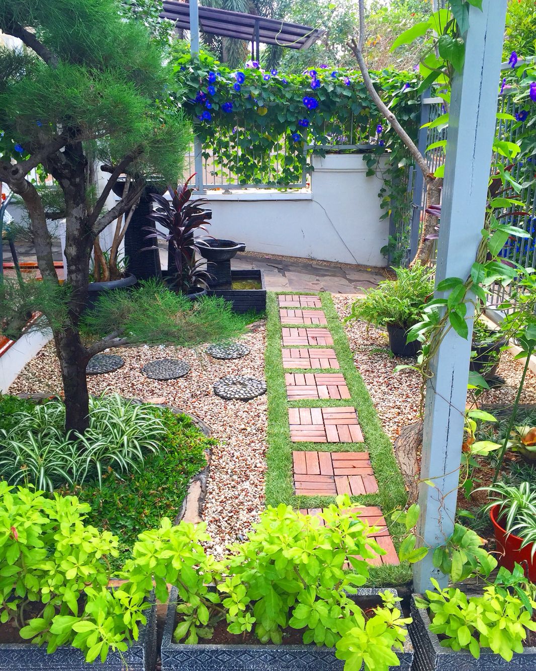 Outdoor Garden Maintenance Experts Chennai image 4