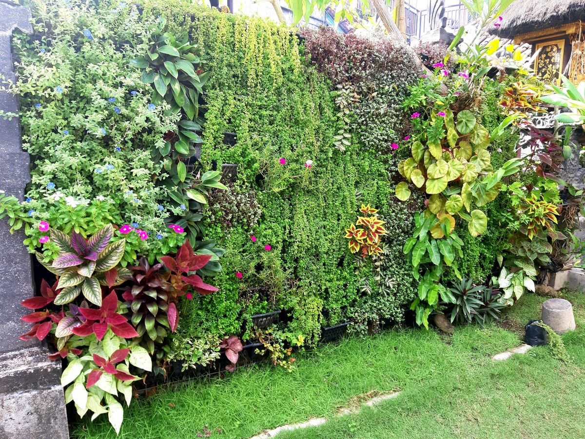 Outdoor Vertical Garden Setup Chennai image 3