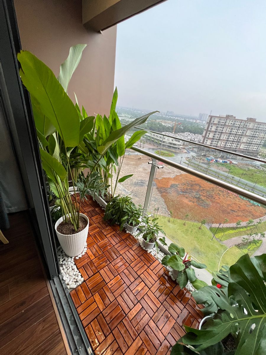 Affordable Balcony Gardening Contractors in Chennai image 3
