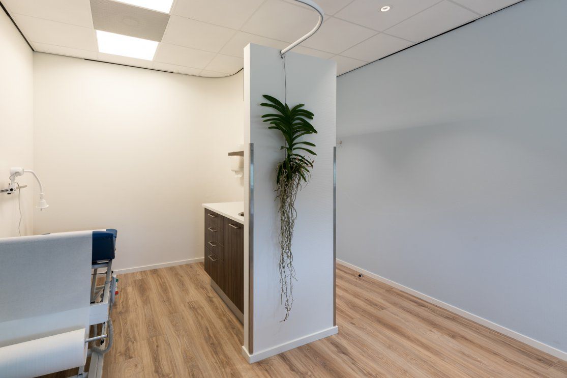 Clinic Interior Design Inspiration for a Serene Atmosphere image 4