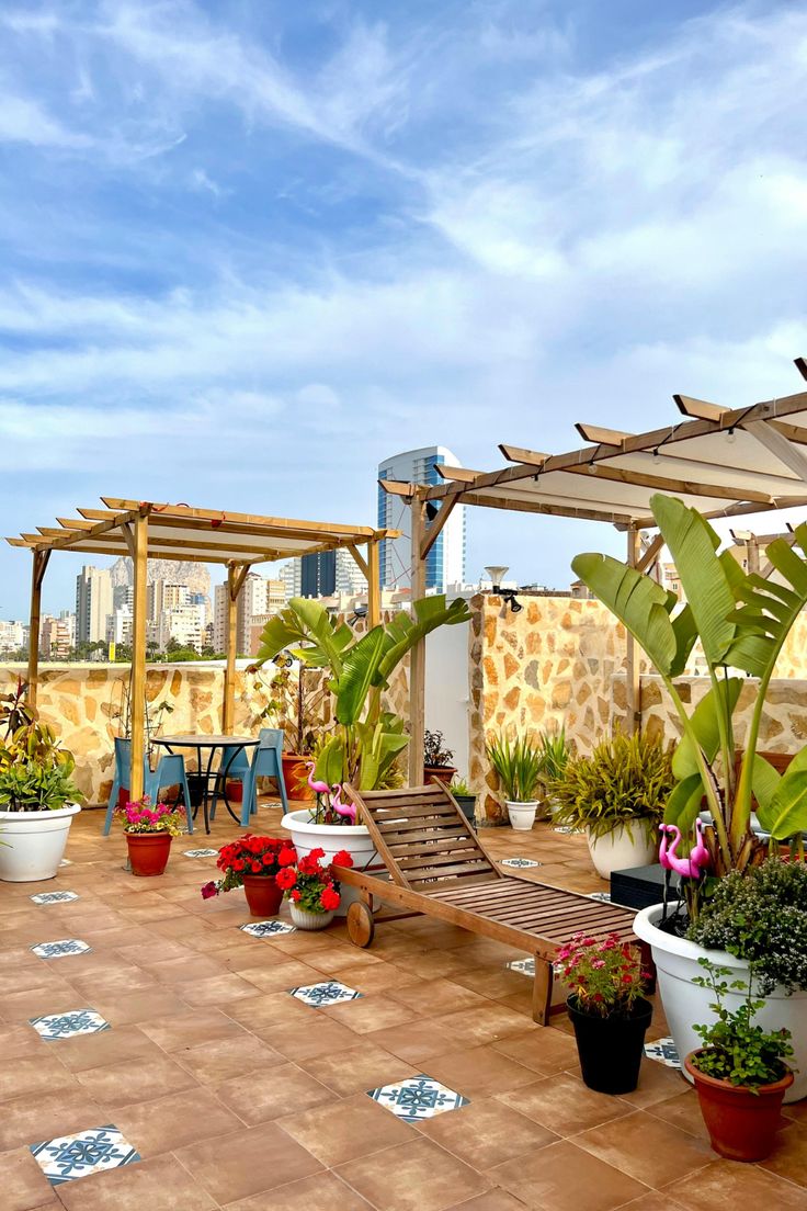 Complete Terrace Greenery Enhancement Service in Chennai image 2