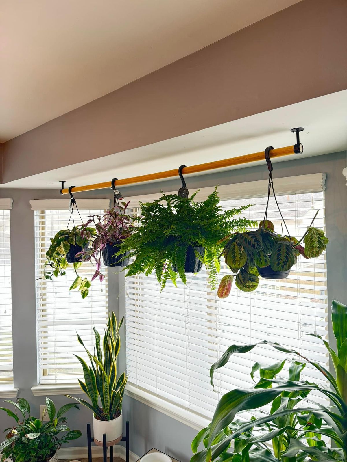 Indoor Garden Transformation Chennai image 4