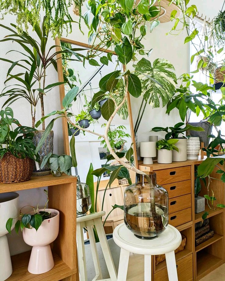 Indoor Garden Decoration Service Chennai image 5