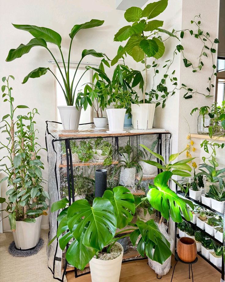 Indoor Garden Decoration Service Chennai image 4