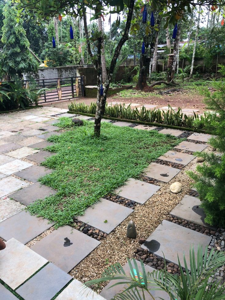 Outdoor Garden Cleanup & Restoration Chennai image 3