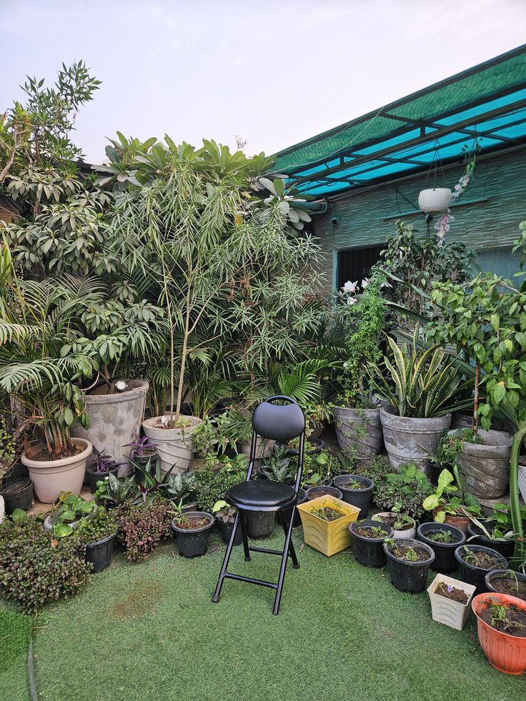Modern Terrace Garden Design & Maintenance in Chennai image 5