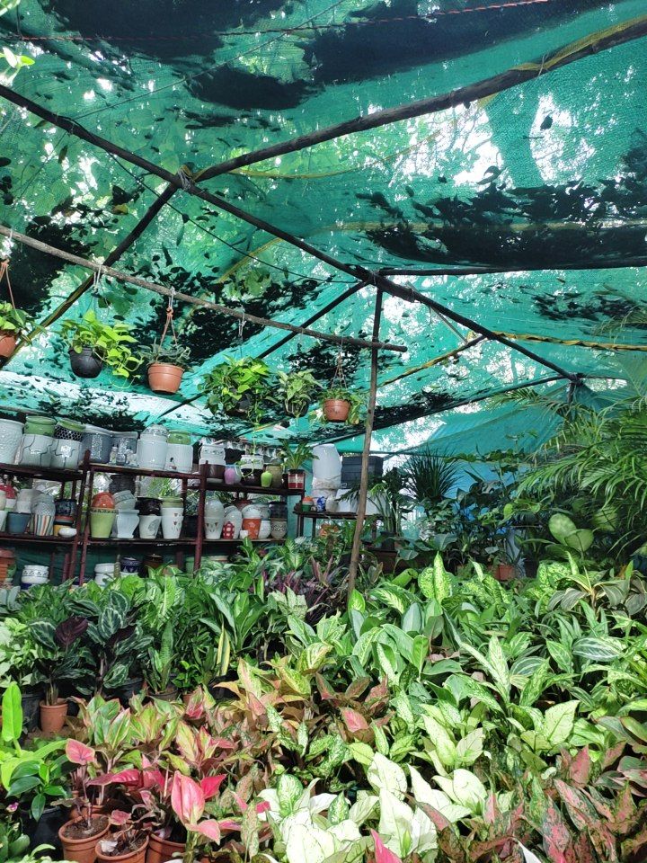 Terrace Garden Waterproofing & Setup Service in Chennai image 5