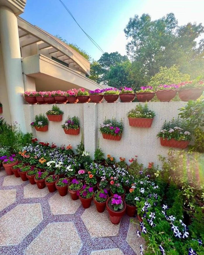 Customized Terrace Gardening Service in Chennai image 2