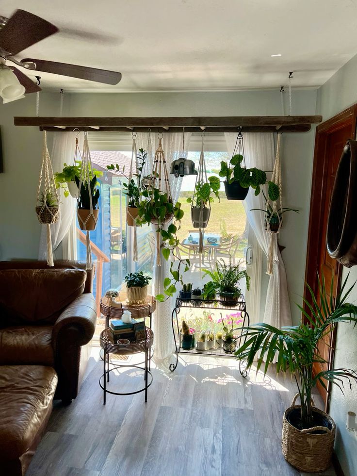 Indoor Gardening Consultancy Chennai image 2