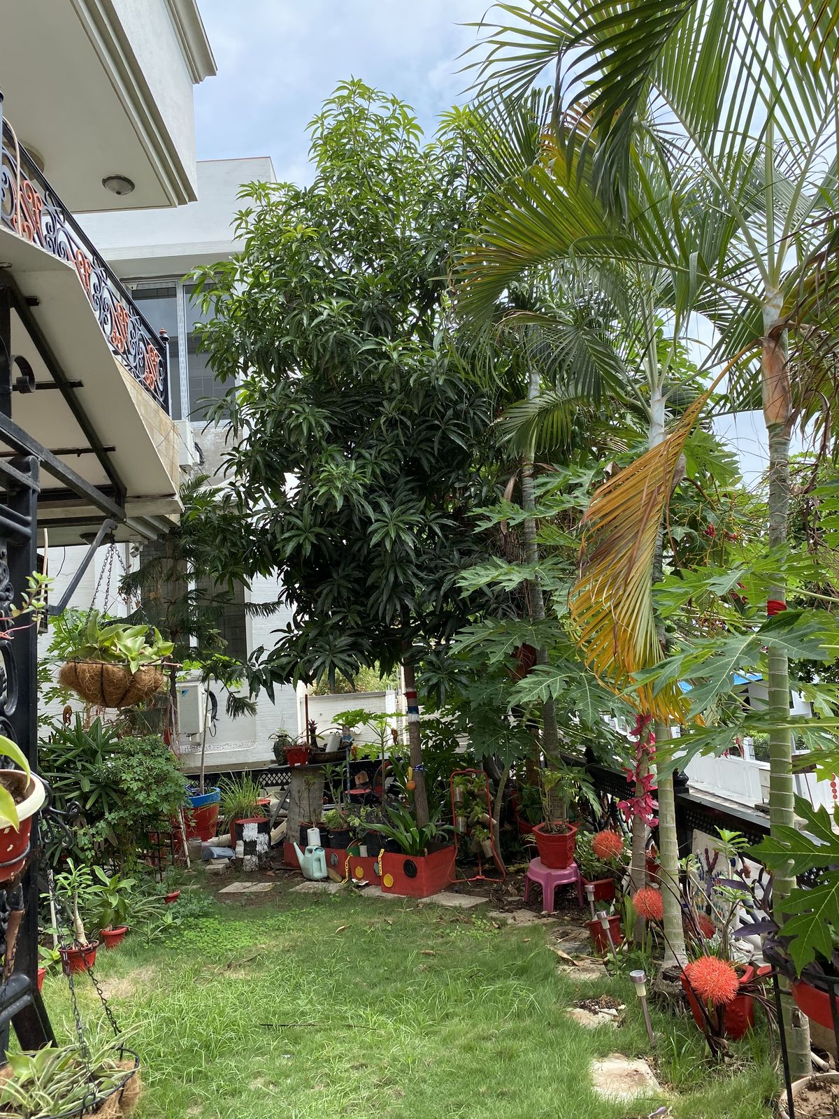 Outdoor Garden Soil & Manure Service Chennai image 2