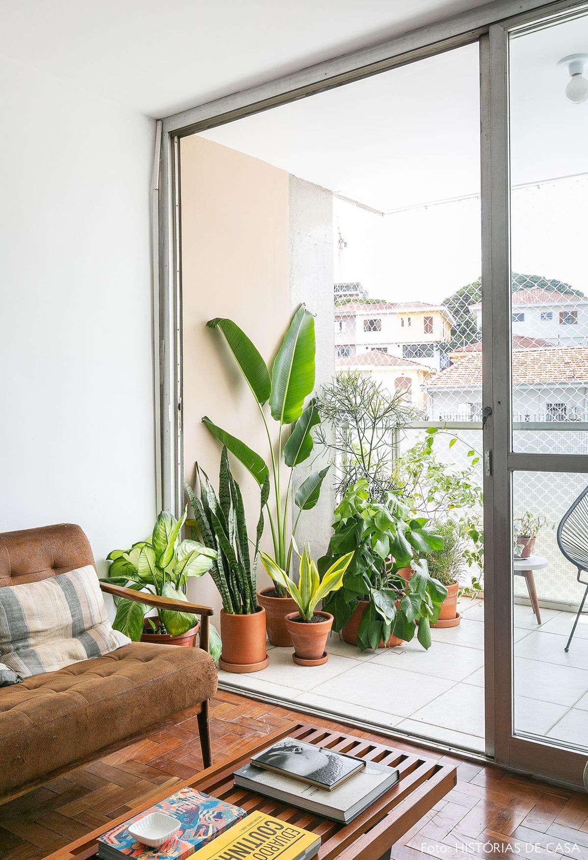 Low-Maintenance Balcony Garden Setup in Chennai image 2