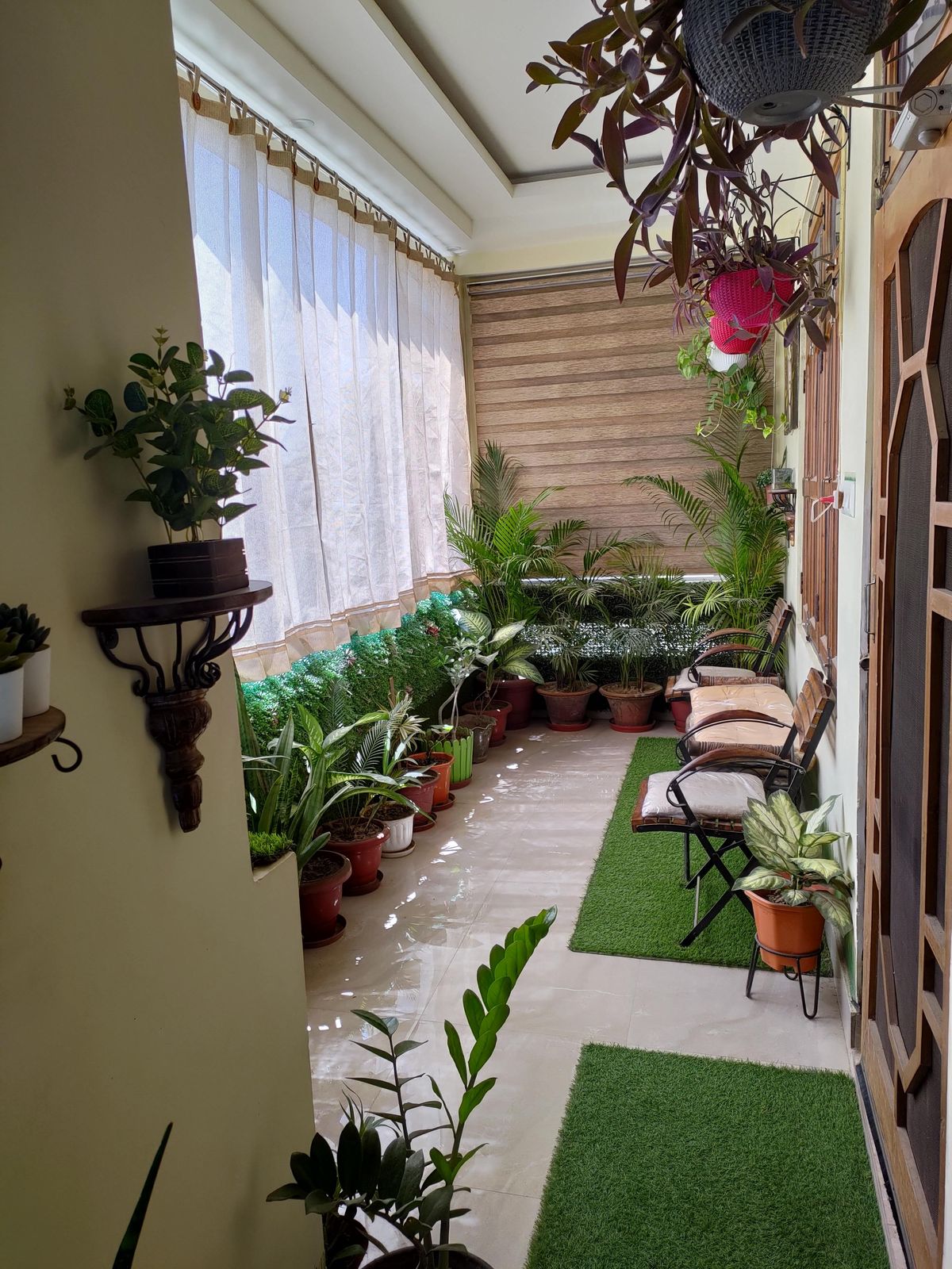 Chennai Balcony Garden Plants Supply & Setup image 3