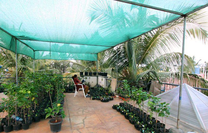 Terrace Garden Waterproofing & Setup Service in Chennai image 3