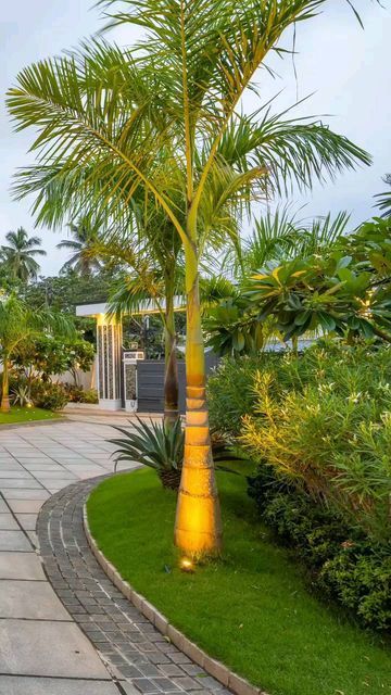 Frontyard Lawn & Planting Services Chennai image 2