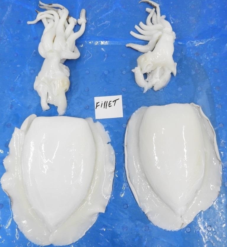 CUTTLEFISH FILLET & TENTACLES image 2