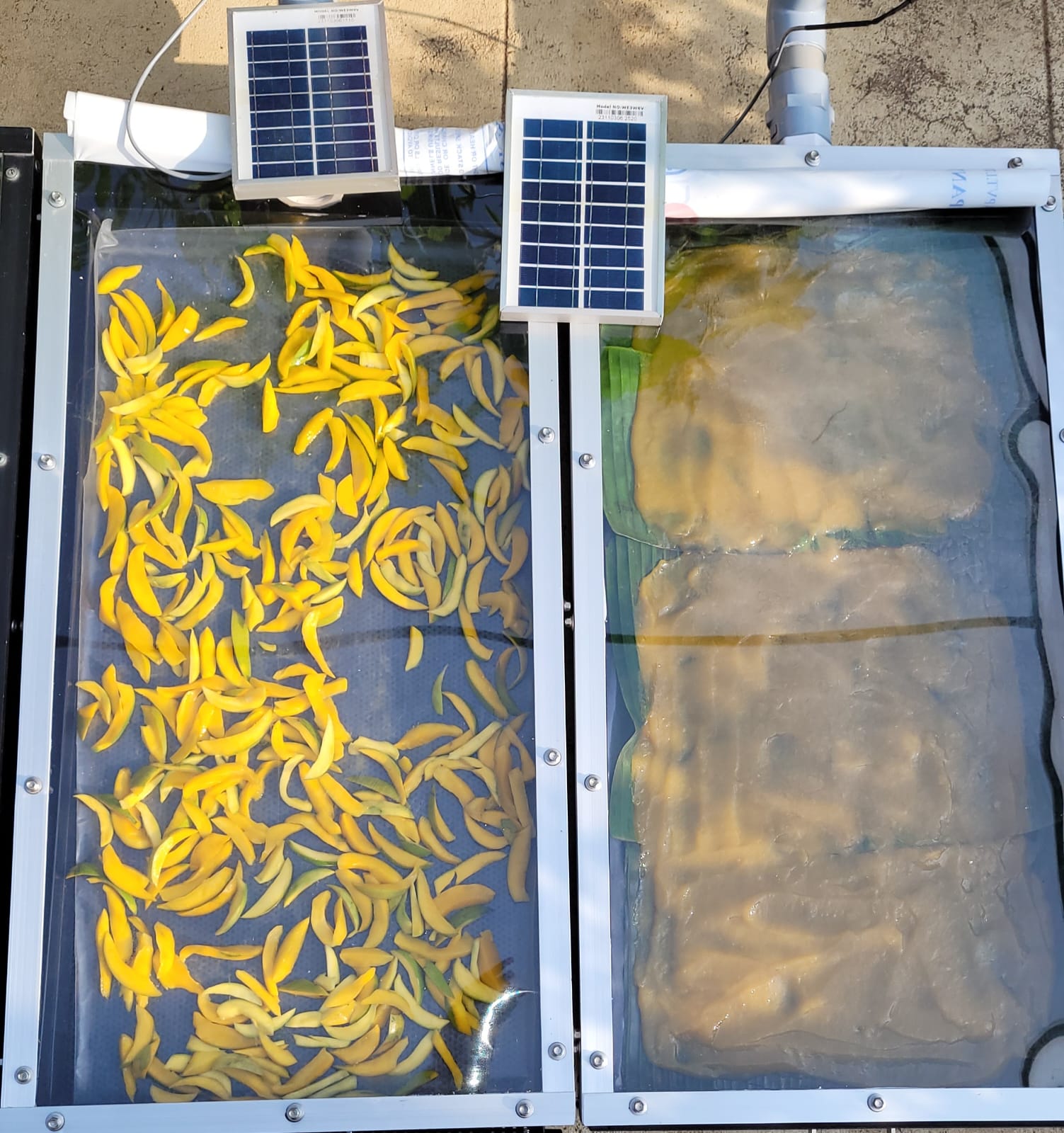 Solar Drying for Food Processing Industry – High Quality Solar Drying System in India image 4