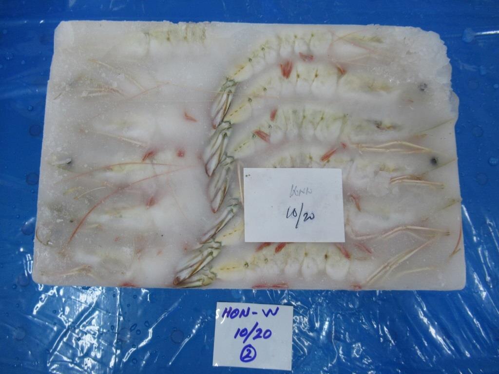 HEAD ON WHITE (10/20 GRADE) BLOCK FROZEN SHRIMPS image 2