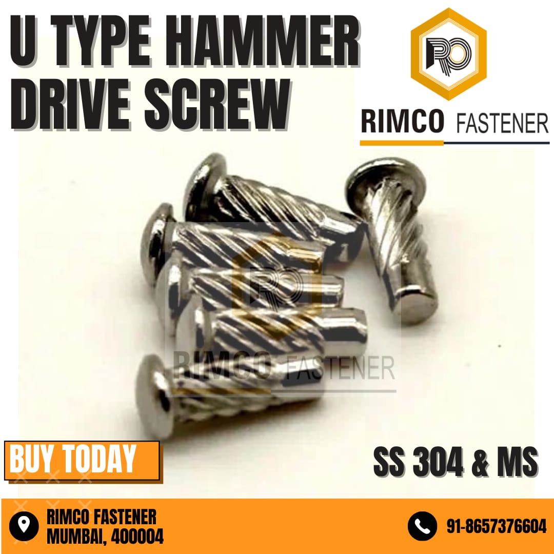 STAINLLESS STEEL 316 SCREW  image 4