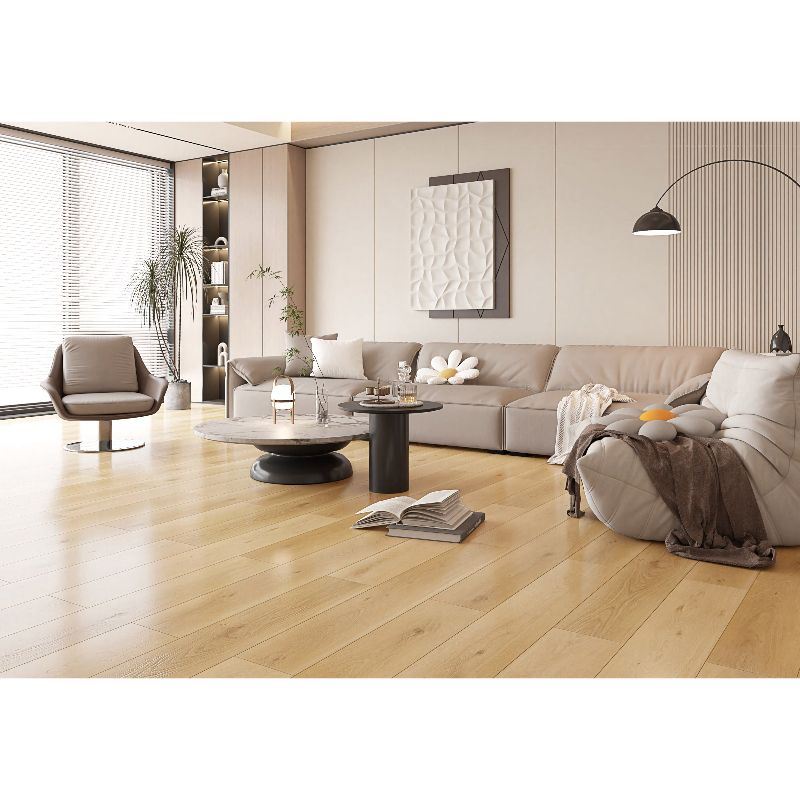Astrea 8 plank Collection image 7