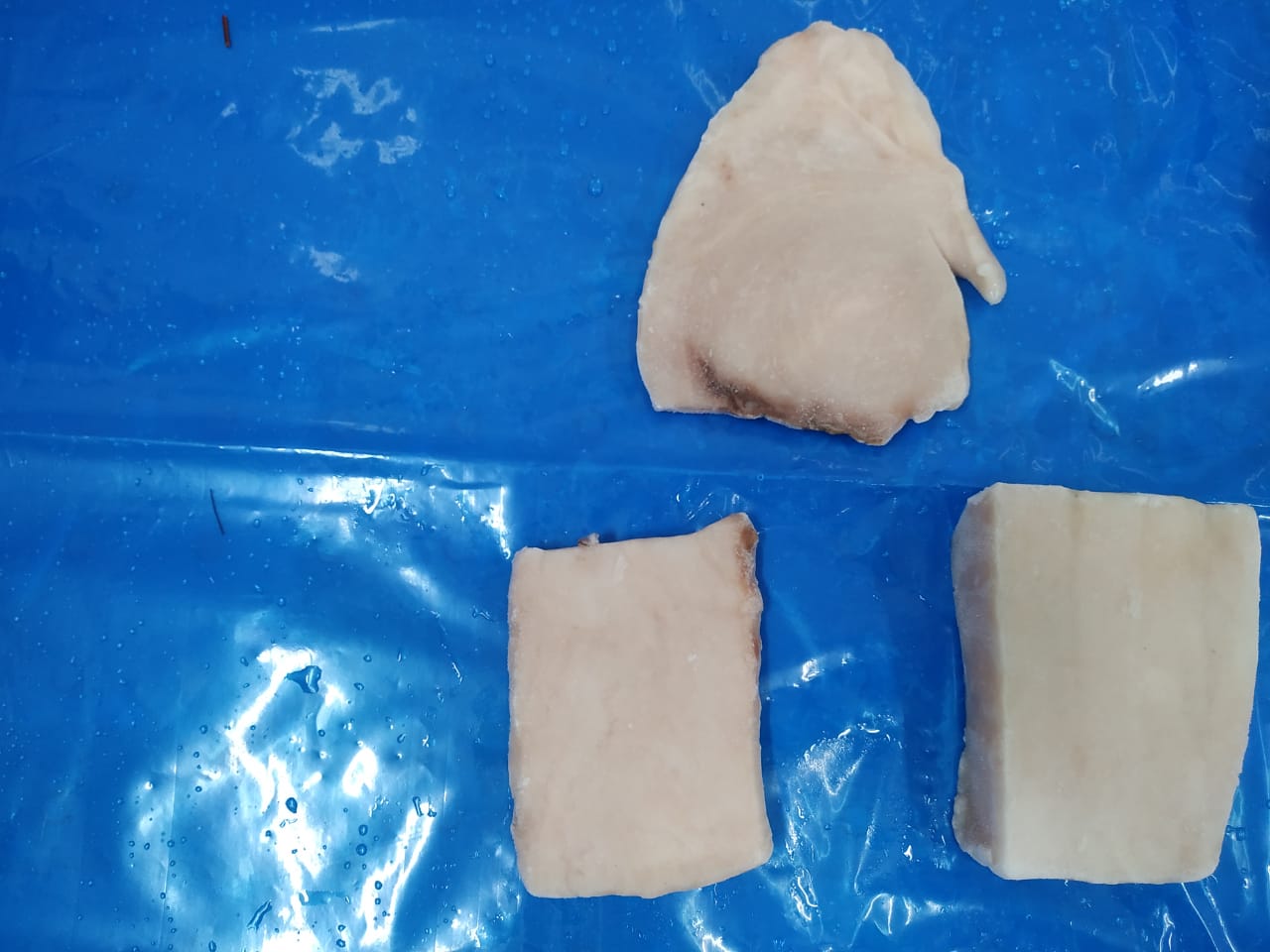 SWORD FISH SLICES image 2