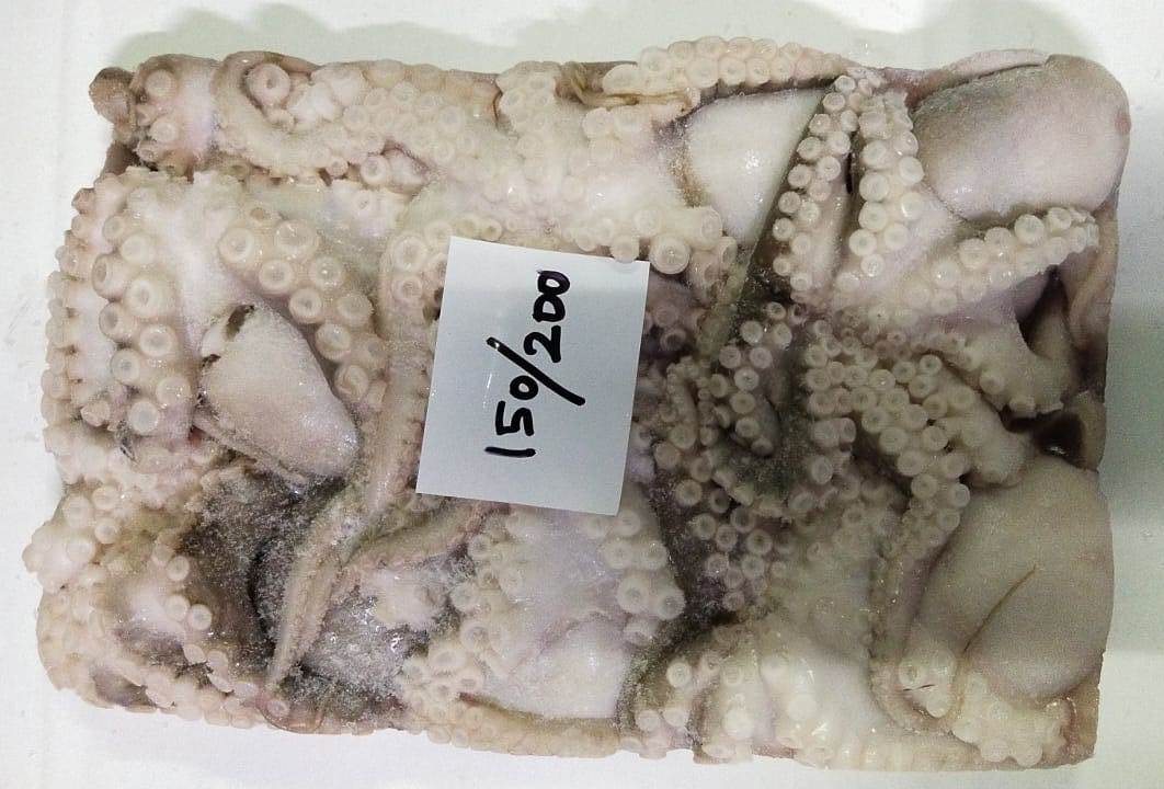 RAW FROZEN OCTOPUS image 3
