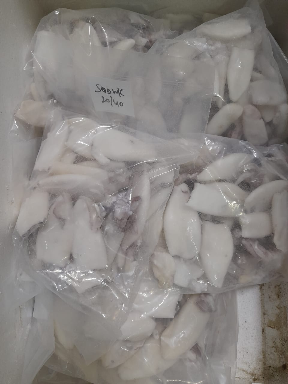 RAW FROZEN SQUID WHOLE CLEANED - IQF image 2