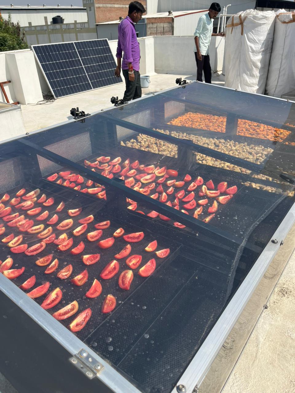 Solar Dehydrator Machine For Fruits  image 2