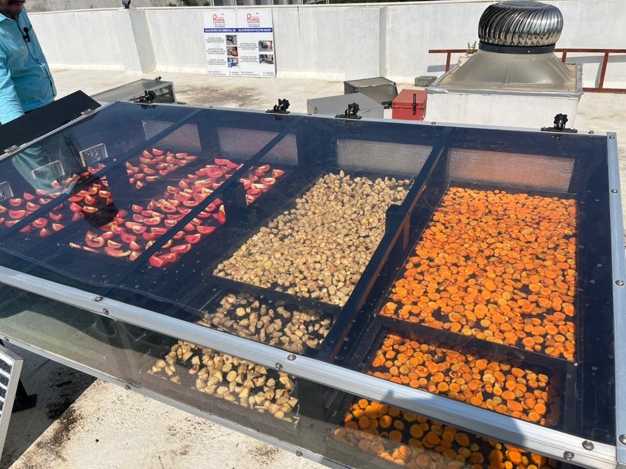 Solar Dehydrator Machine For Fruits  image 3