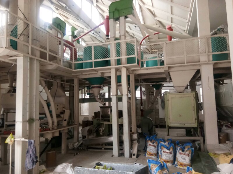MAIZE GRIT PLANT image 5