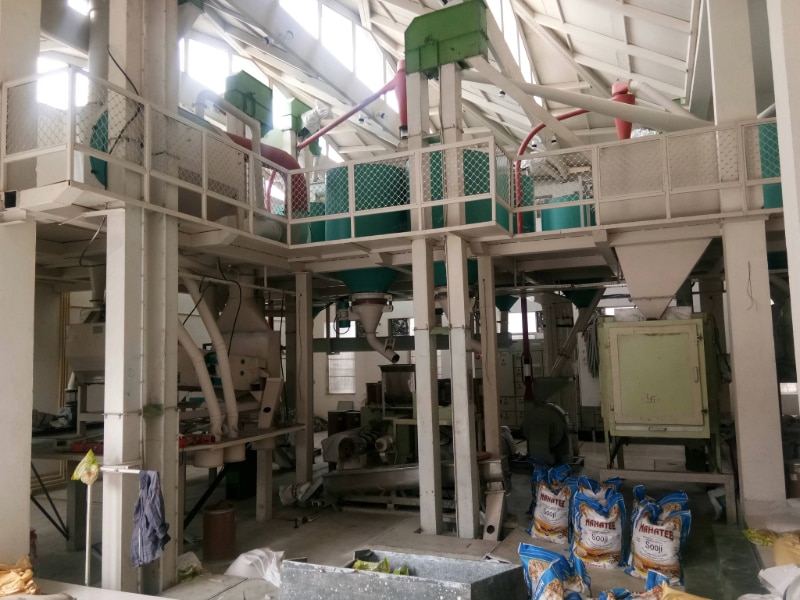 MAIZE GRIT PLANT image 6