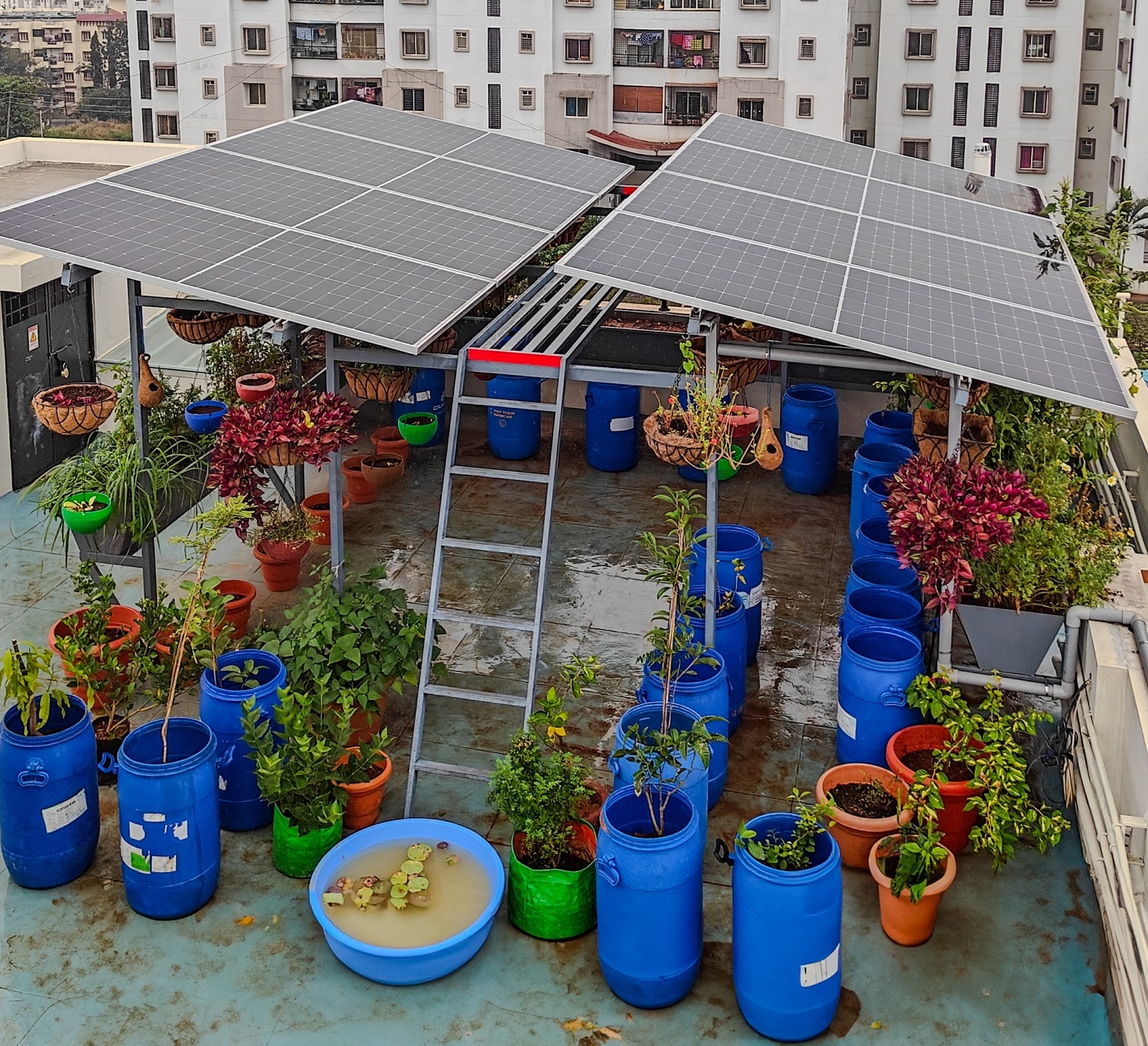 Agro-Voltaics or Agro-PV image 2