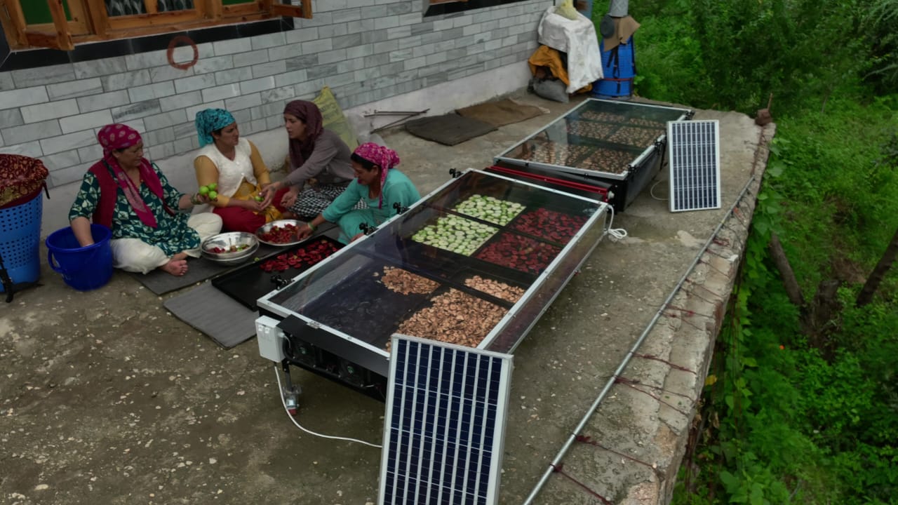 Solar Peach Dryer image 2