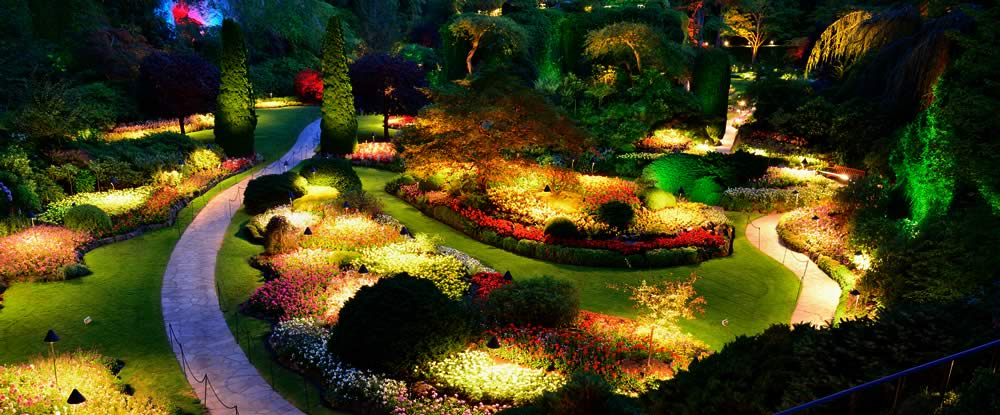 Inground image 7