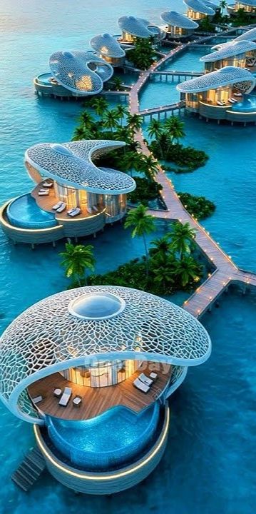 Beauty of the Maldives image 2