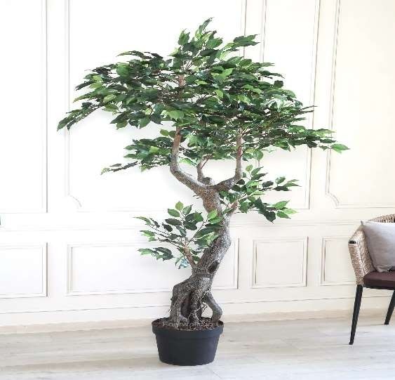 Amazon Artificial Plants image 4