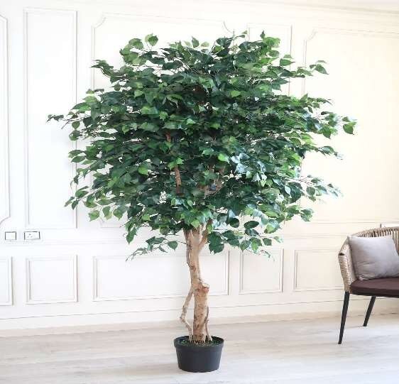 Amazon Artificial Plants Indoor image 4