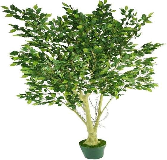 Amazon Artificial Plants Indoor image 3