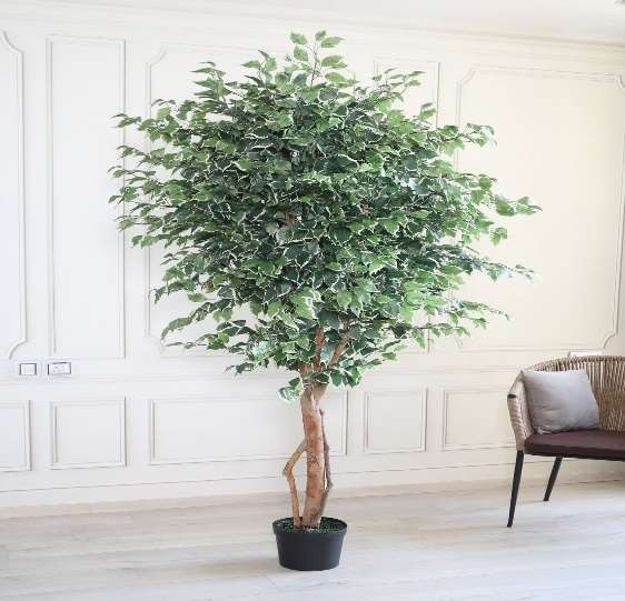 Amazon Artificial Plants Indoor image 2