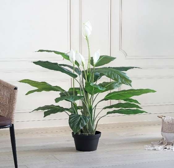Artificial Plants According to Vastu image 4