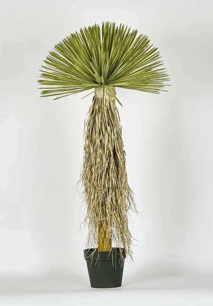 Artificial Plants at Home Vastu image 4