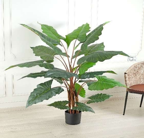 Artificial Plants at Home Vastu image 3