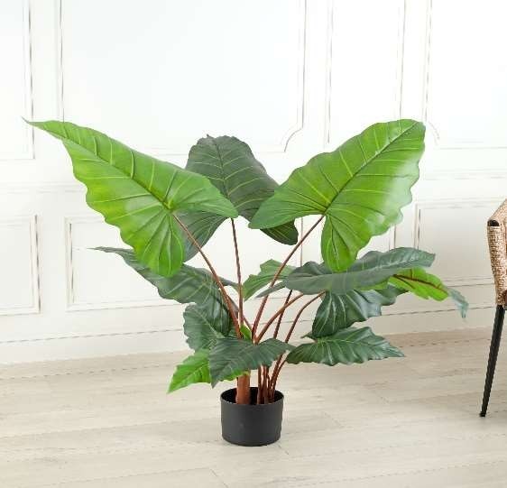 Artificial Plants at Home Vastu image 2