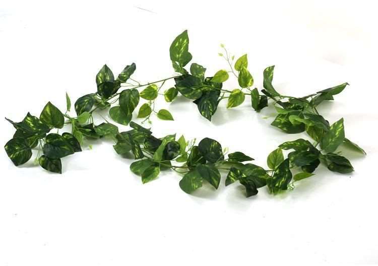 Artificial Creepers for Outdoor & Indoor Spaces image 4