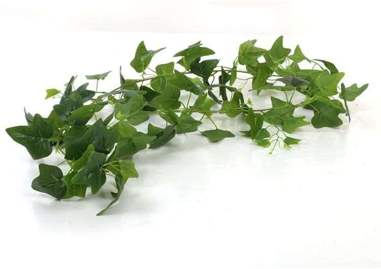 Artificial Creepers for Outdoor & Indoor Spaces image 2