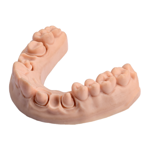 Model Standard image 3