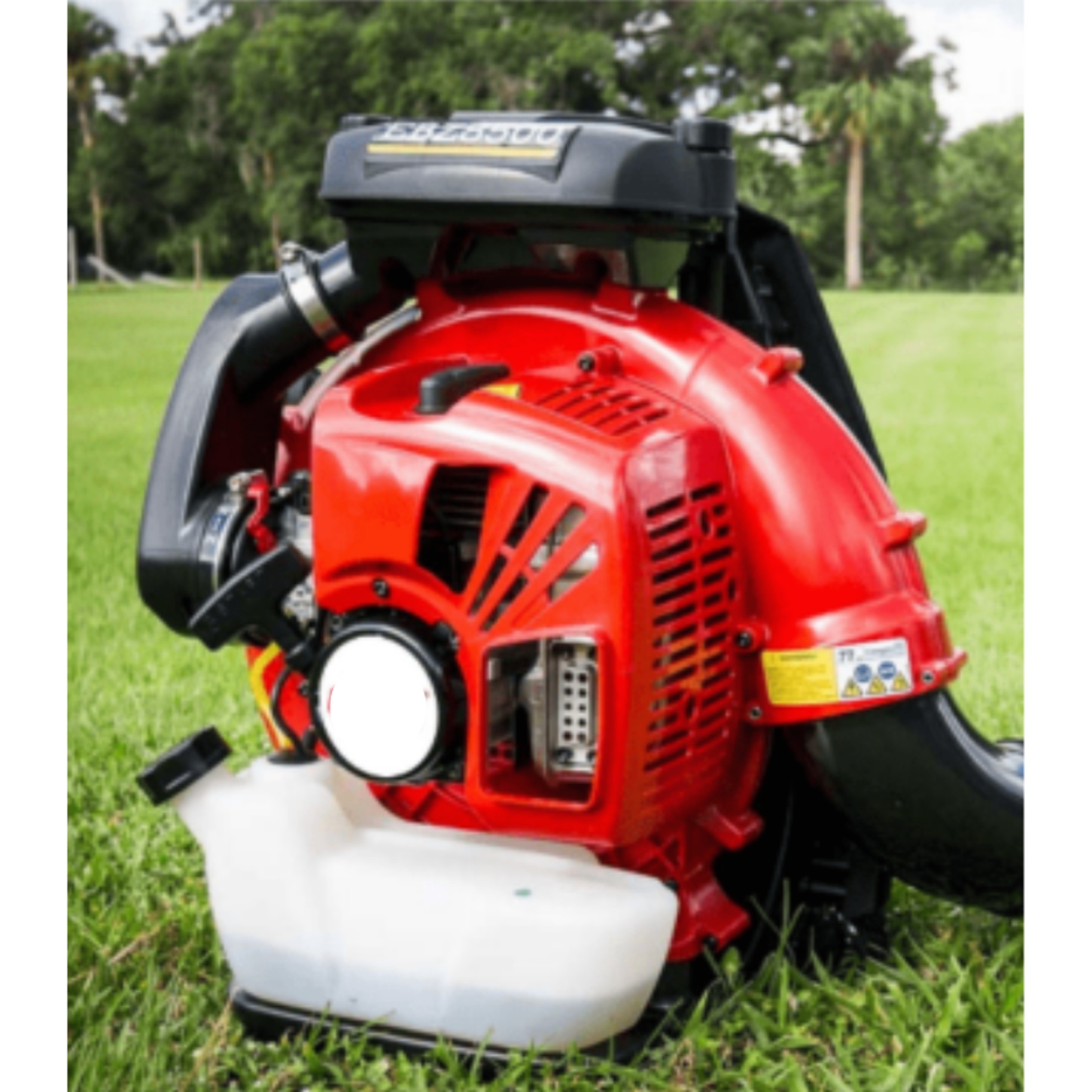 Leaf Blower image 2