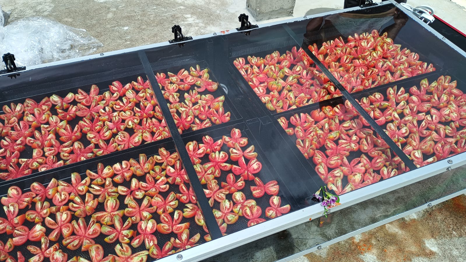 Solar Drying for Food Processing Industry – High Quality Solar Drying System in India image 2